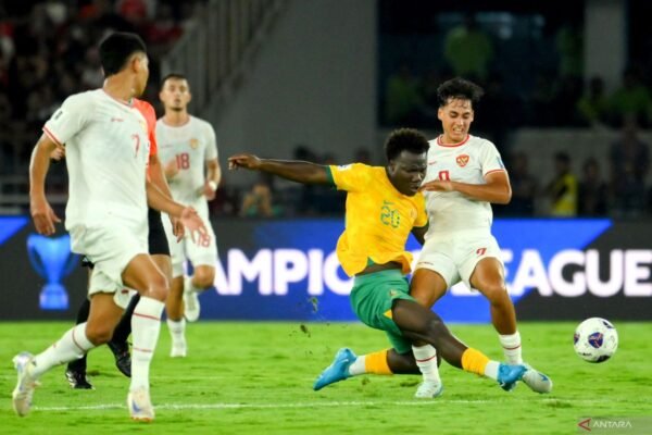 Struick: Timnas Indonesia Tetap Berstatus 'Underdog'