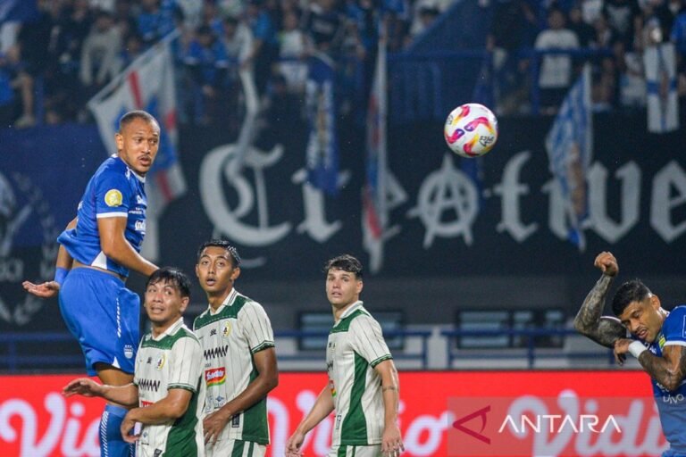 Ketujuh Tim Berjuang Melawan Degradasi di Liga 1 Indonesia
